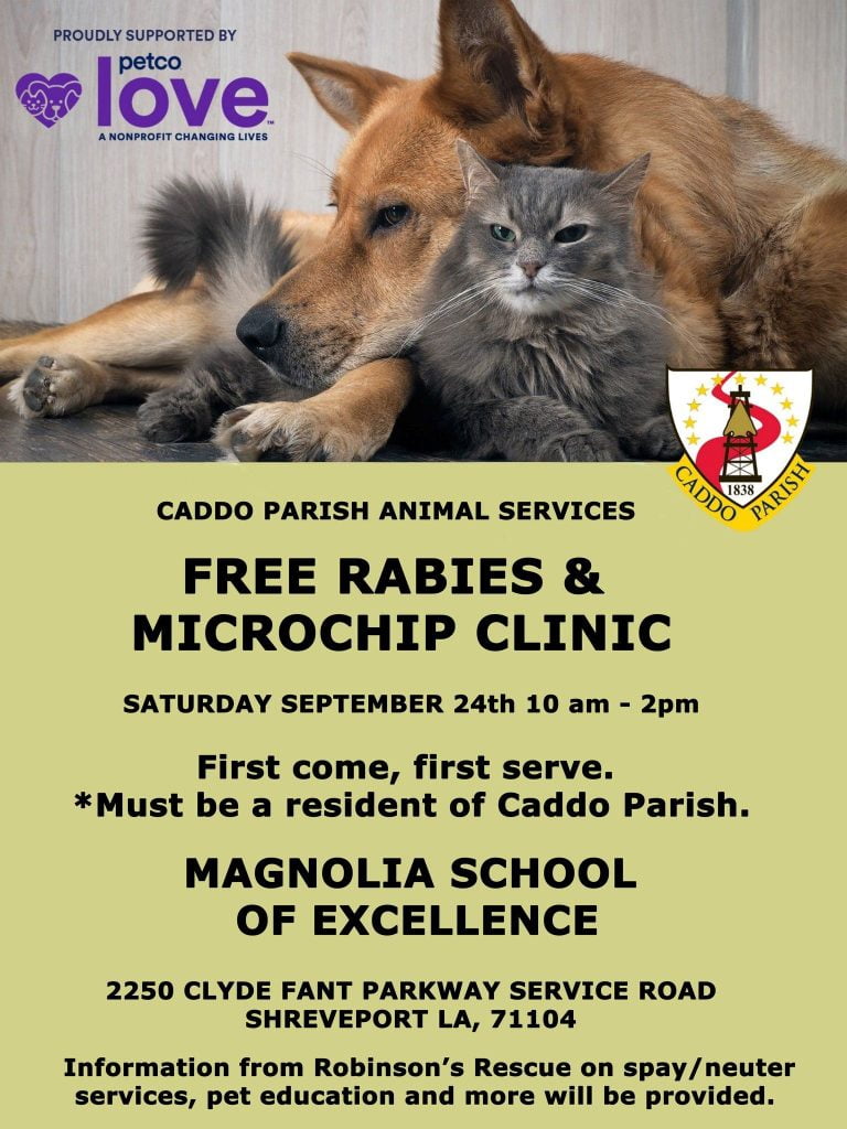 Caddo Parish to hold free rabies and microchip clinic September 24