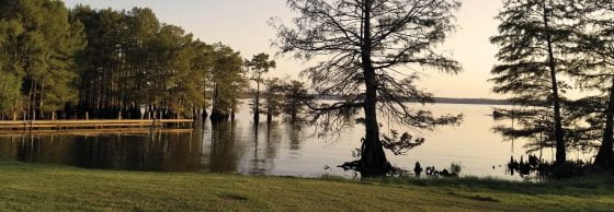 Stay connected to the Parish of Caddo