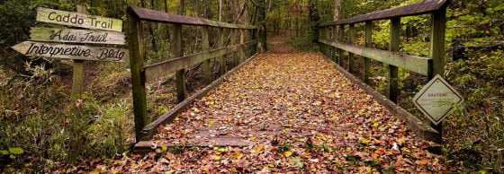 Visit a Caddo Parish Park