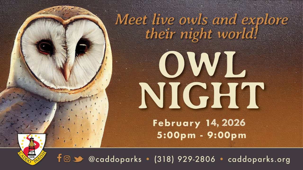 Featured image for “Owl Night returns to Caddo Parish February 14”